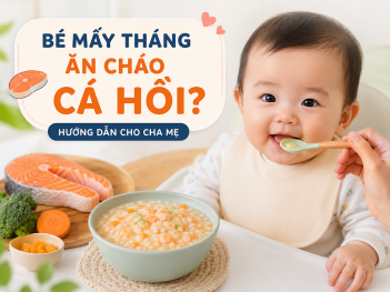 Tác giả Đỗ Thị Bảo Lam
