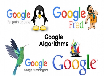 Các loại thuật toán Google phổ biến bạn cần biết để tránh sai lầm SEO cơ bản