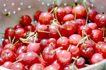 Công dụng của trái cherry cho phụ nữ mang thai - Kỹ thuật Marketing