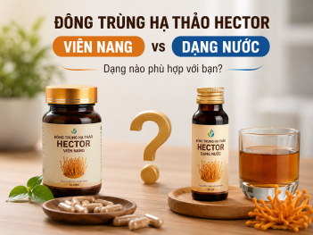 Hướng dẫn