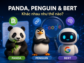 Hướng dẫn