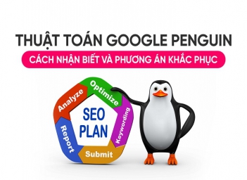 Cách phân biệt thuật toán Panda Penguin BERT để không nhầm lẫn khi tối ưu - Kỹ thuật Marketing