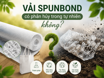 Kiến thức