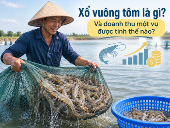 Kiến thức