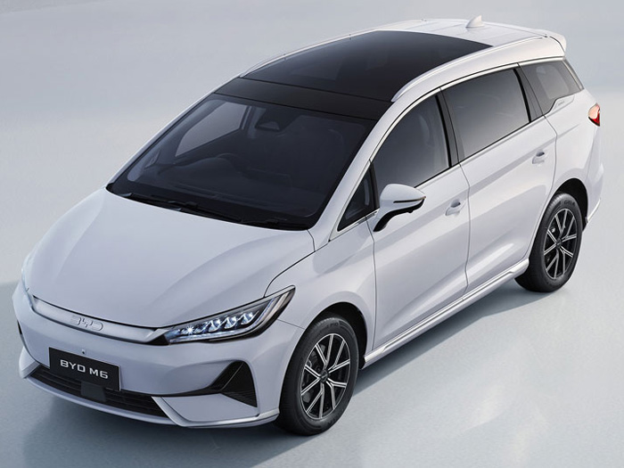 xe điện byd m6